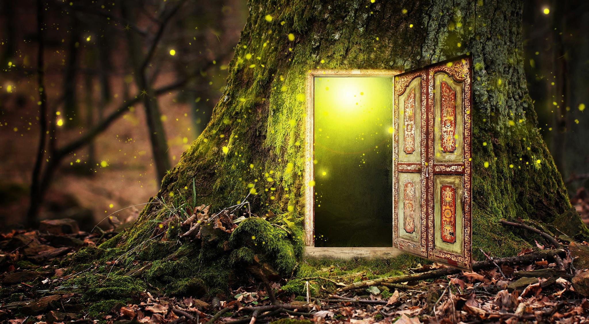 Открытая дверь в сказку. Сказочная дверь. Дверь в лесу. Дверь в сказку. Волшебная дверь.