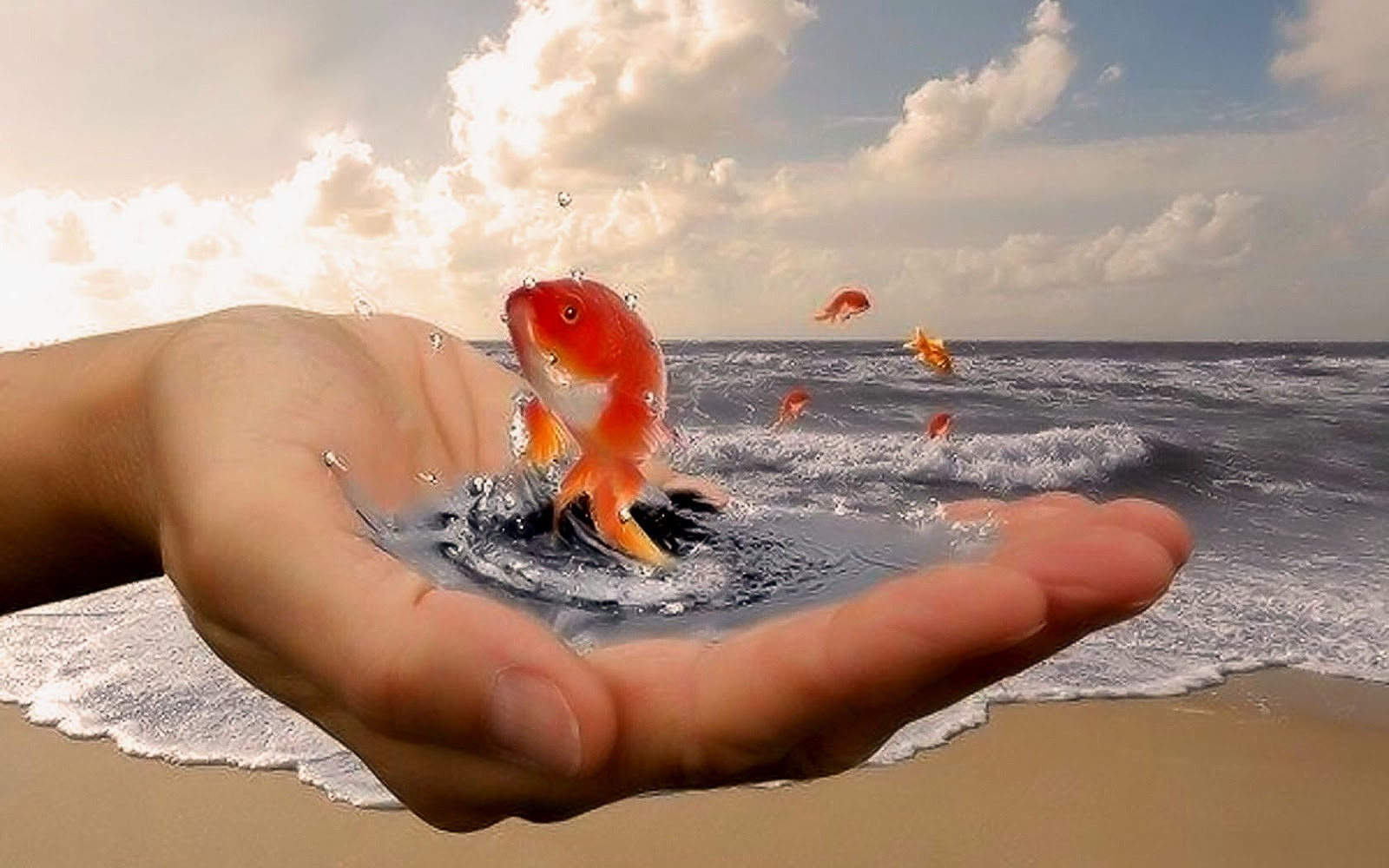 Мы дарим людям. Золотая рыбка в руках. Золотая рыбка исполнение желаний. Добро у моря. Золотая рыбка исполняет желания.